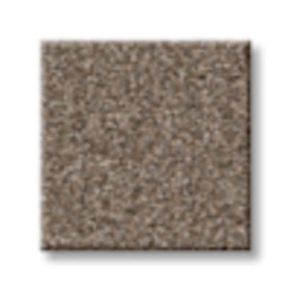 Shaw San Juan Bark Texture Carpet-Sample